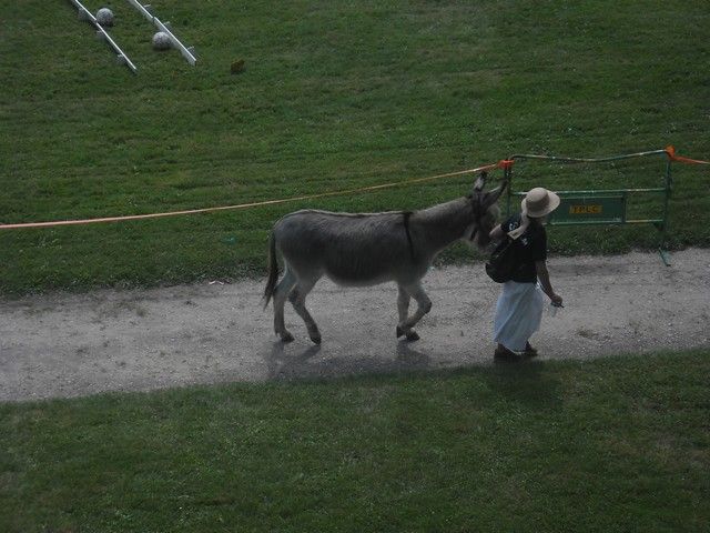 fete ane 2014 (59).jpg